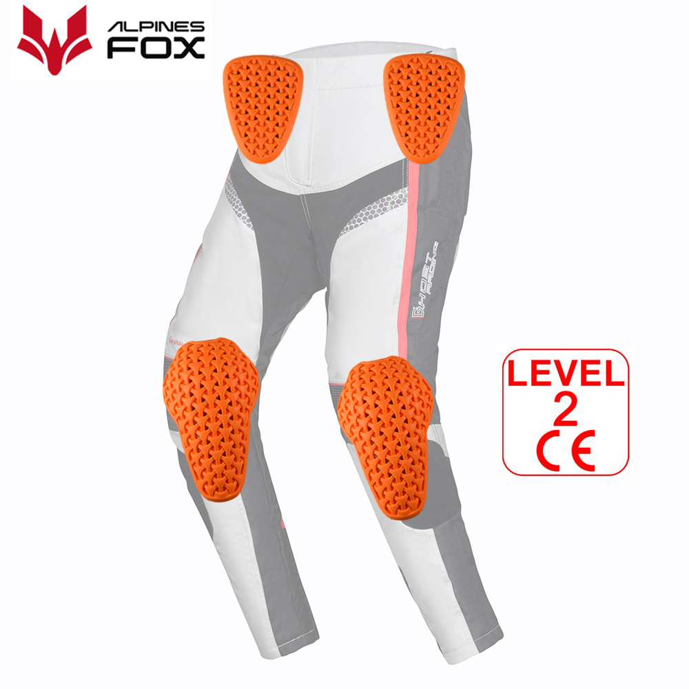 CE Level 2 Certified Motorcycl - đánh giá và giá Motorcycle Gear Alpine