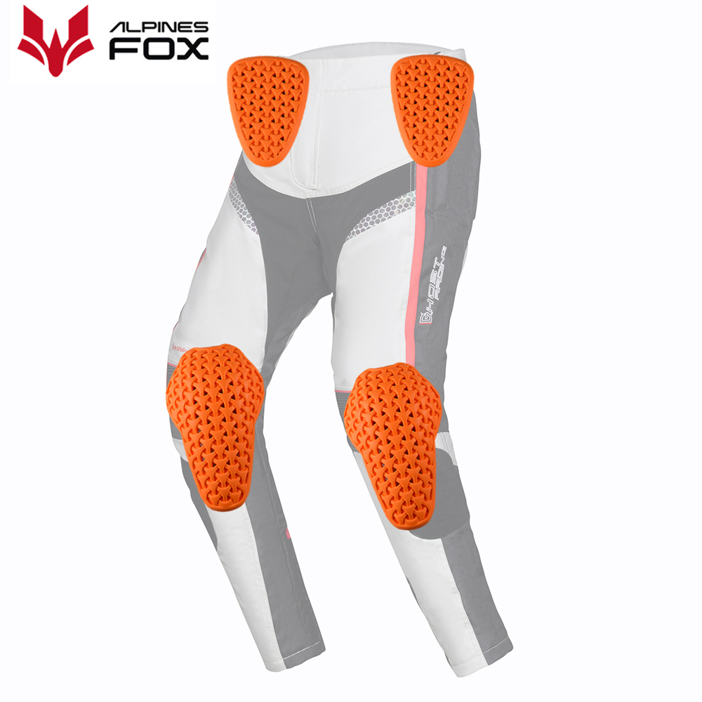 CE Level 2 Certified Motorcycl - đánh giá và giá Motorcycle Gear Alpine